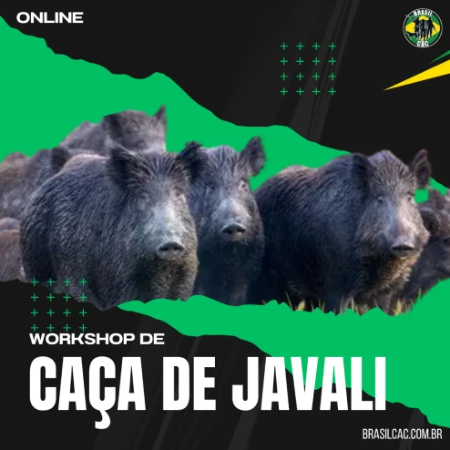 workshop caca javali